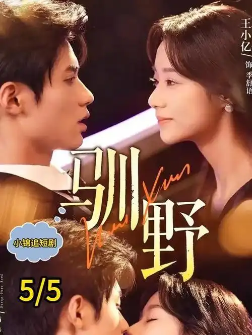 沉默的灯塔剧集海报